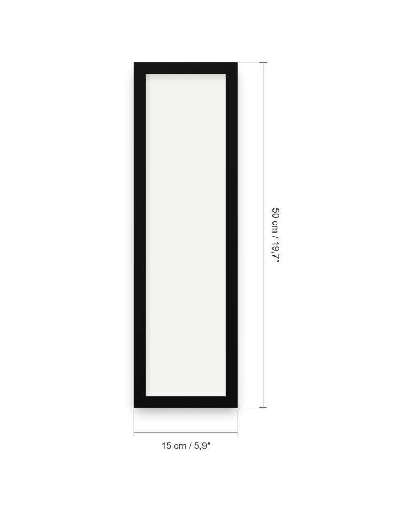 Dimenzije okvira: 15 × 50 cm